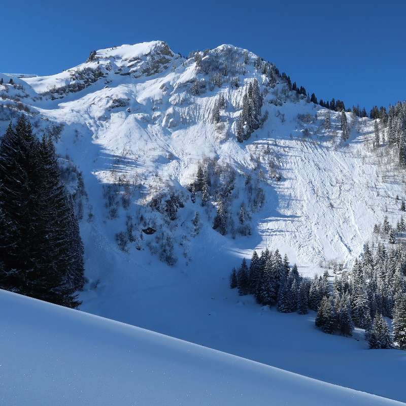 Pic Chaussy Randonn E Ski Depuis Le Col Des Mosses Dans Le Canton De